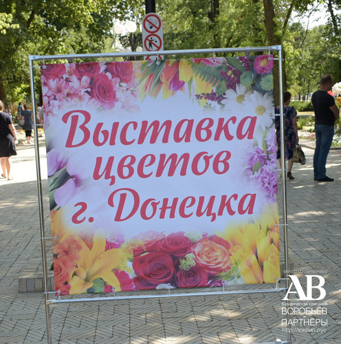 День города Донецка 2018 и выставка цветов фото